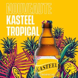 Kasteel Tropical